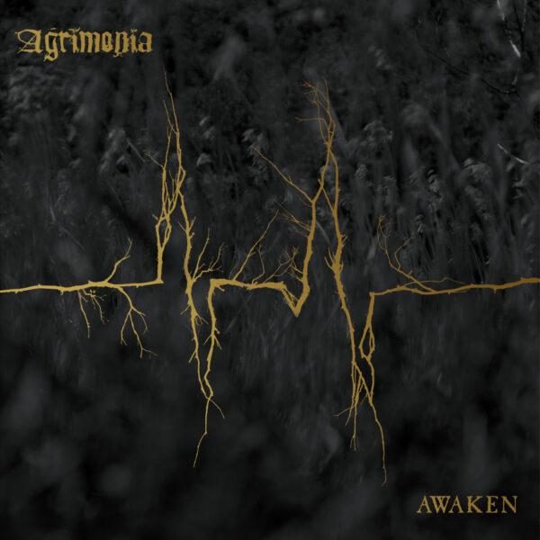 a3501858725_10 Agrimonia - Awaken