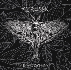 Korasek - Białowieża