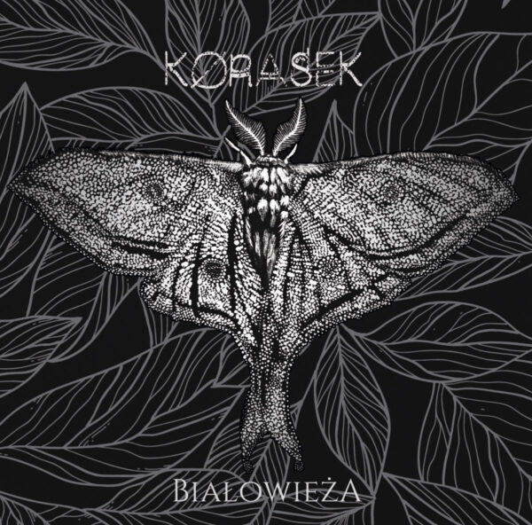 Korasek - Białowieża