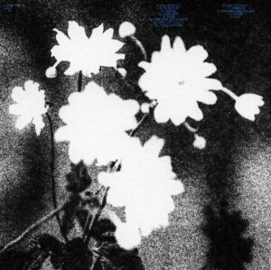 Loma Prieta - Last