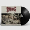 Astriferous - The lower levels of sentience