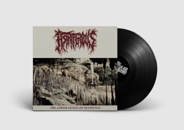 Astriferous - The lower levels of sentience