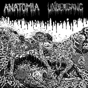 Anatomia / Undergang - Split