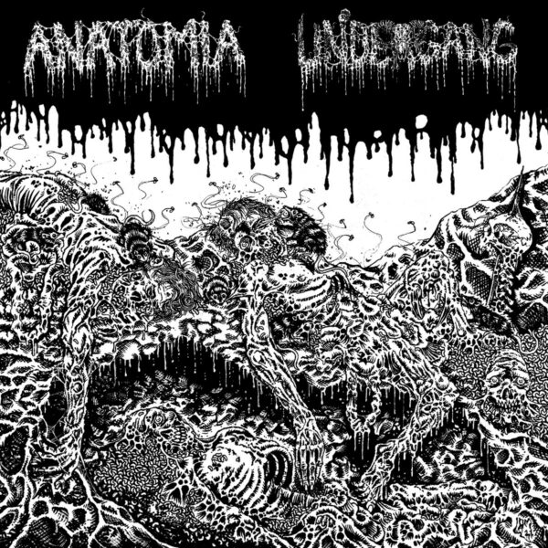 Anatomia / Undergang - Split